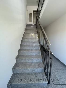 Gepflegtes Treppenhaus mit Aufzug - 