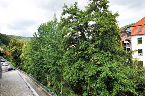 Ausblick.jpg - 