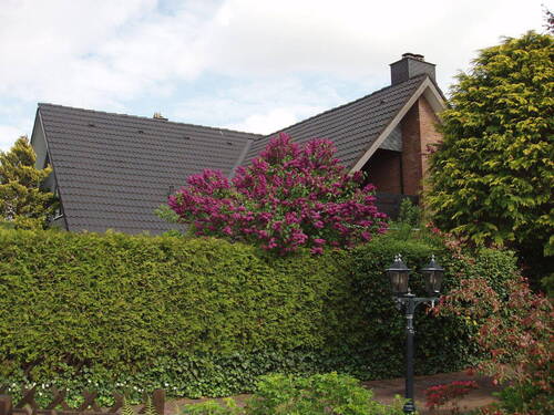 Ansicht Straße - 9 Zimmer Einfamilienhaus in Stockelsdorf