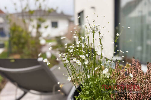Bild 1 - Modernes Wohnen der Extraklasse Einfamilienhaus mit gehobener Ausstattung GOTTMADINGEN
