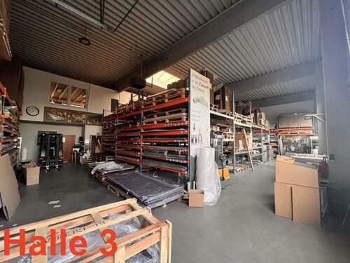 Halle 3 Hallenfläche - 