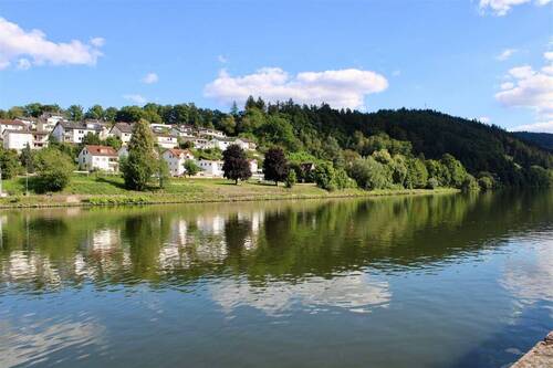 Direkte Neckarlage - 