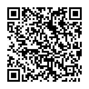 QR-Code - 