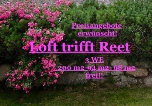 LOFT trifft REET - Reetdachtraum Loft Stil 3 Wohnungen in einem zauberhaften Anwesen - ca. 200 m2 94m2 68 m2