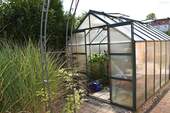 Gewächshaus - 