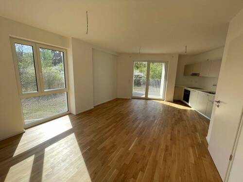 Wohn- und Essbereich - 