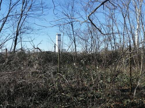 IMG_20220308_141613 - Grundstück zum Kaufen in Radebeul