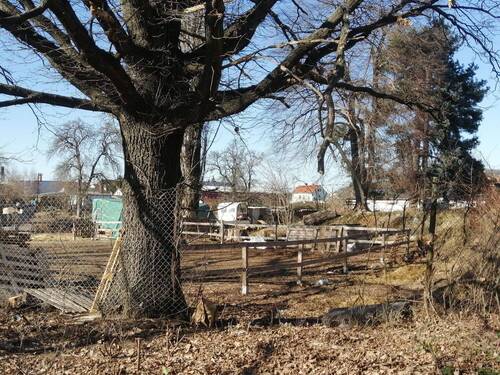 IMG_20220308_141354 - Kopie - 