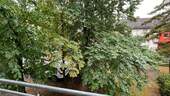 Ausblick vom Balkon viel Grün..... - 