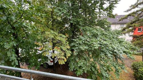 Ausblick vom Balkon viel Grün..... - 
