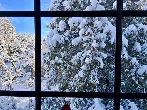 überall Traum Ausblick - 