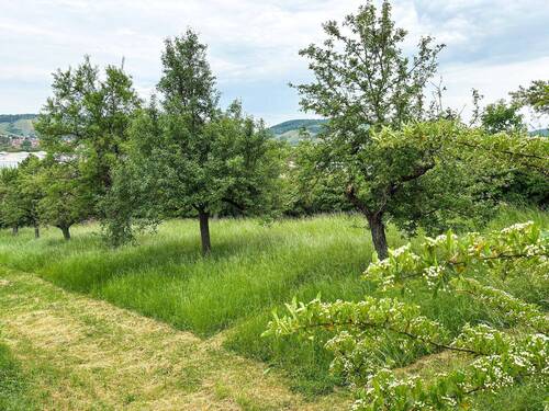 Grundstück - Grundstück mit gemischter Nutzungsmöglichkeit