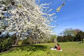Viktoriapark - 