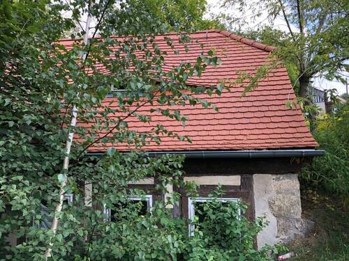 Westseite bergseits (1) - Einfamilienhaus mit 98,10 m² in Sebnitz zum Kaufen