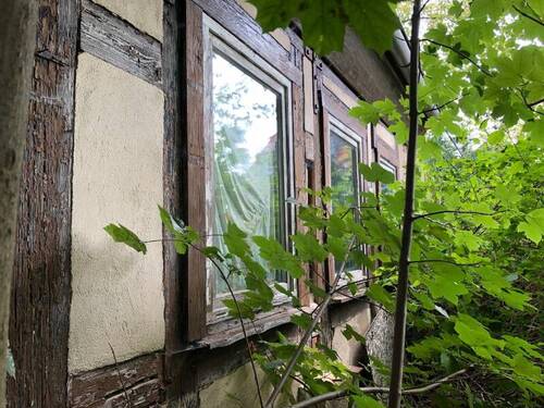 Westseite bergseits (3) - 