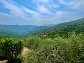 AP915_22 TERRA ITALIA IMMOBILIEN_LIGURIEN_APRICALE - 