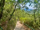AP915_24 TERRA ITALIA IMMOBILIEN_LIGURIEN_APRICALE - 