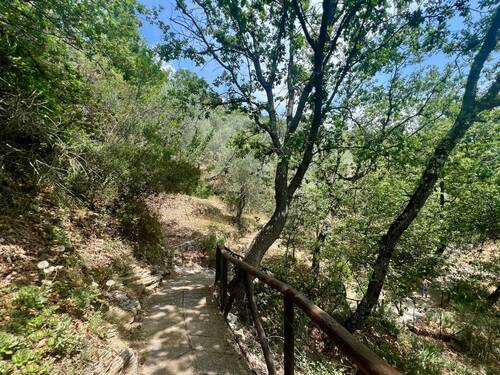 AP915_26 TERRA ITALIA IMMOBILIEN_LIGURIEN_APRICALE - 