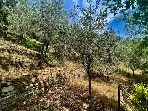 AP915_28 TERRA ITALIA IMMOBILIEN_LIGURIEN_APRICALE - 