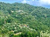 AP915_29 TERRA ITALIA IMMOBILIEN_LIGURIEN_APRICALE - 