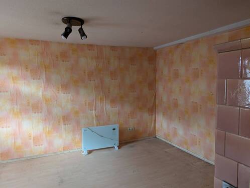 PXL_20260330_123509309.MP.jpg - 