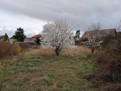 Grundstück.jpg - Einfamilienhaus mit 100,00 m&sup2; in Schlagenthin zum Kaufen