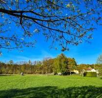 Viel Platz in ländlicher Idylle! - Ringenhain