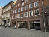 Straßenansicht - 7 Zimmer Gewerbeobjekt (Büro, Produktion, Verkauf) zur Miete in Lüneburg
