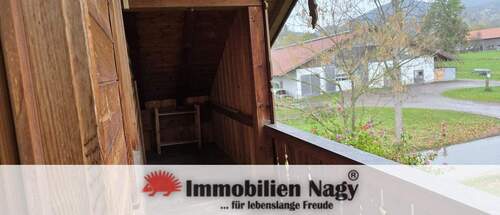 20251025_145358-scaled.jpg - 