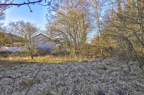 Blick auf den künftigen Bauraum - 