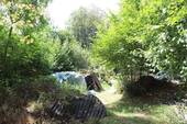 Garten III.JPG - 