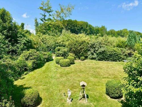 Blick in den Garten - 