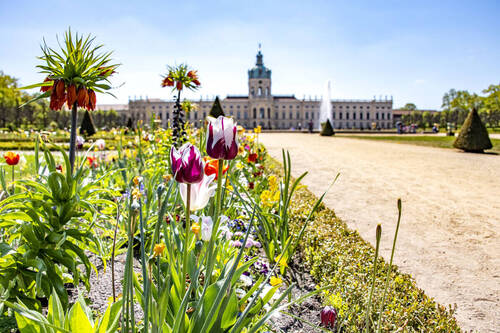 Schlossgarten - 