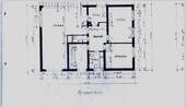 IMG_2794.jpeg - 