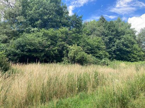 Ansicht - Grundstück in Windeck