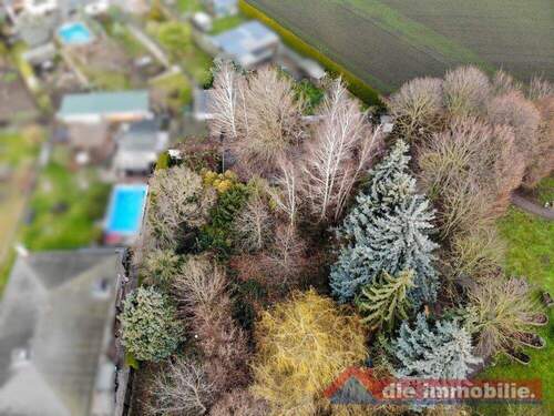 Baumbestand - Grundstück zum Kaufen in Magdeburg / Alt Olvenstedt