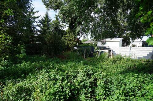 Grundstück hinterer Teil (1).jpg - Grundstück in Groß Kreutz (Havel)