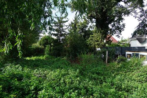 Grundstück hinterer Teil (2).jpg - Grundstück in Groß Kreutz (Havel) zum Kaufen