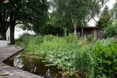 Teich mit Holzterrasse - 