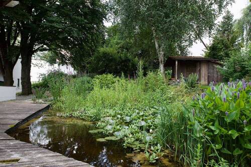 Teich mit Holzterrasse - 