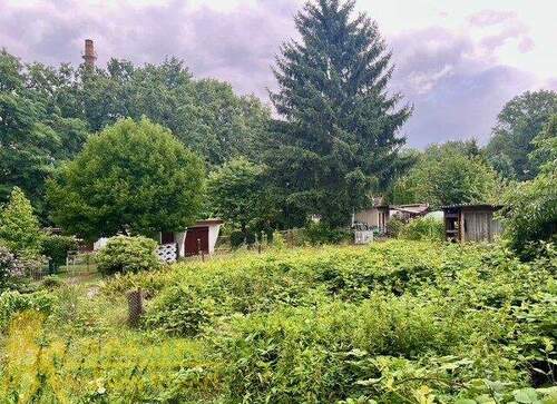 Blick vom Wohnhaus auf die Kleingartenanlage - 