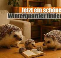 Jetzt ein schönes Winterquartier finden - Gemütliche 2-Raum Wohnung im Grünen mit Aufzug! - Chemnitz Helbersdorf