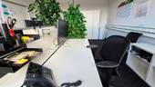 Schreibtischplätze - Büro zur Miete in Nürnberg