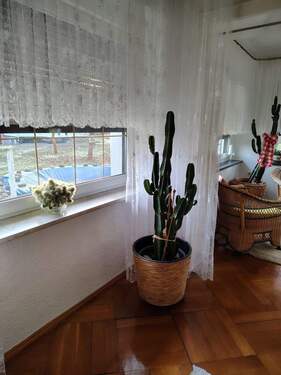 IMG-20251203-WA0016.jpg - 