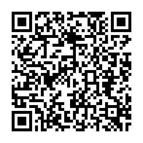 QR-Code - 