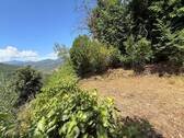 AP_1026_TERRA ITALIA IMMOBILIEN_LIGURIEN_APRICALE_ - 
