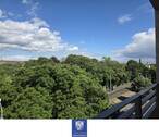 Blick - 