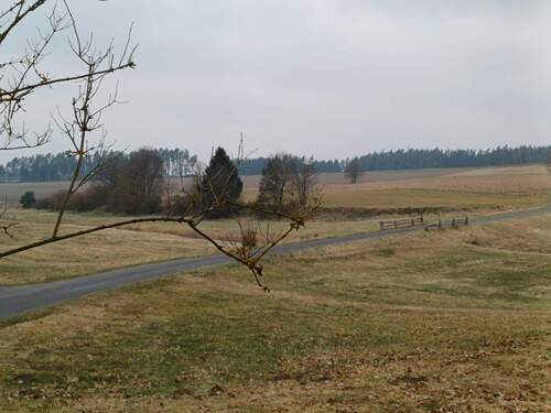 PHOTO-2025-04-01-11-01-53 6.jpg - 