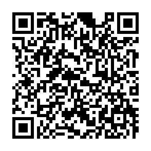 QR-Code - 
