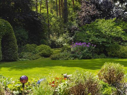 Gartenimpression - 